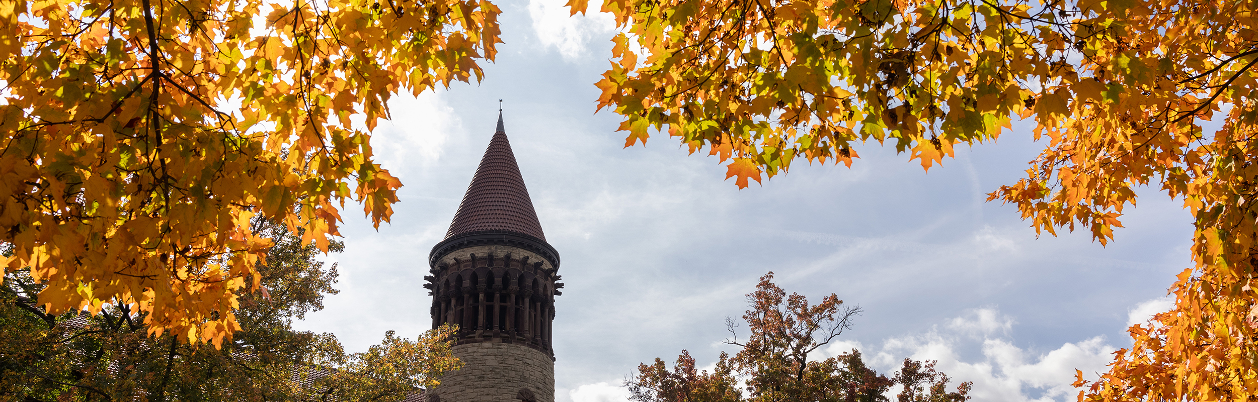 Photo of an Ohio State campus building with fall leaves