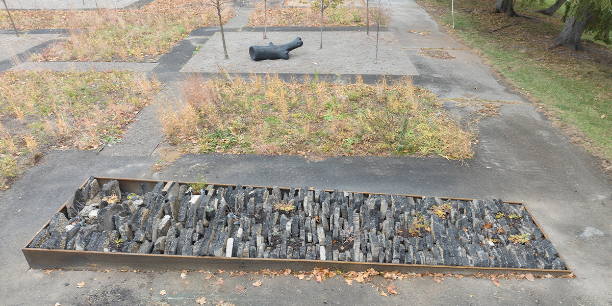 A view of the prairie where asphalt is seen as a garden.