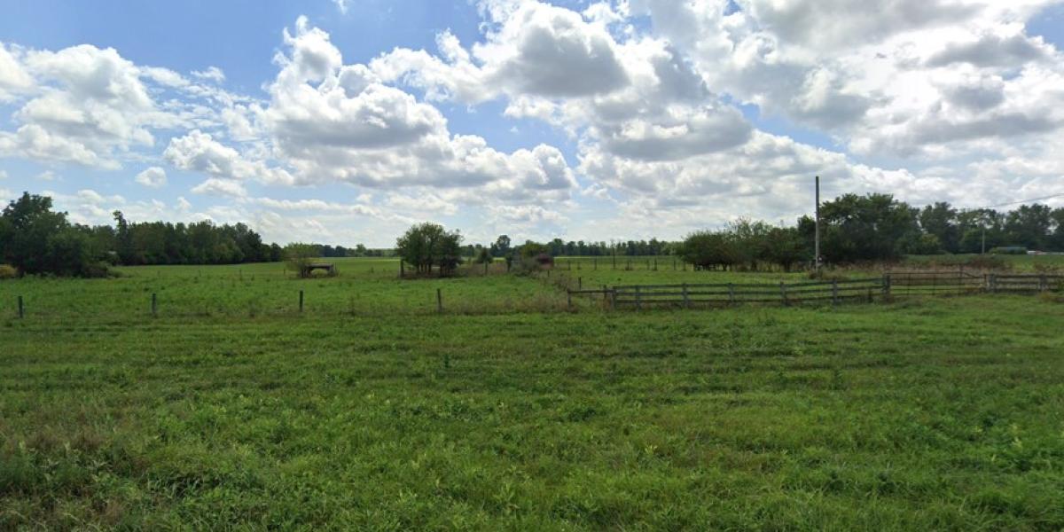 green pastures with blue sky