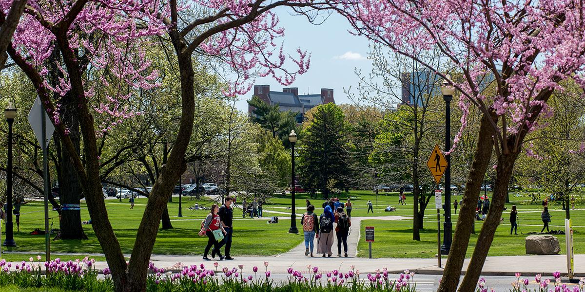 The Oval in the spring