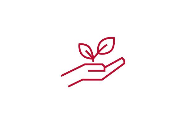 Icon of a leaf