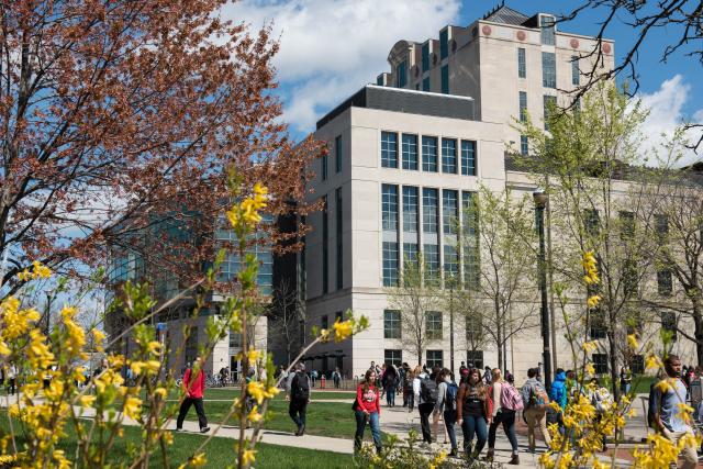 photo of library building with flowers in foreground