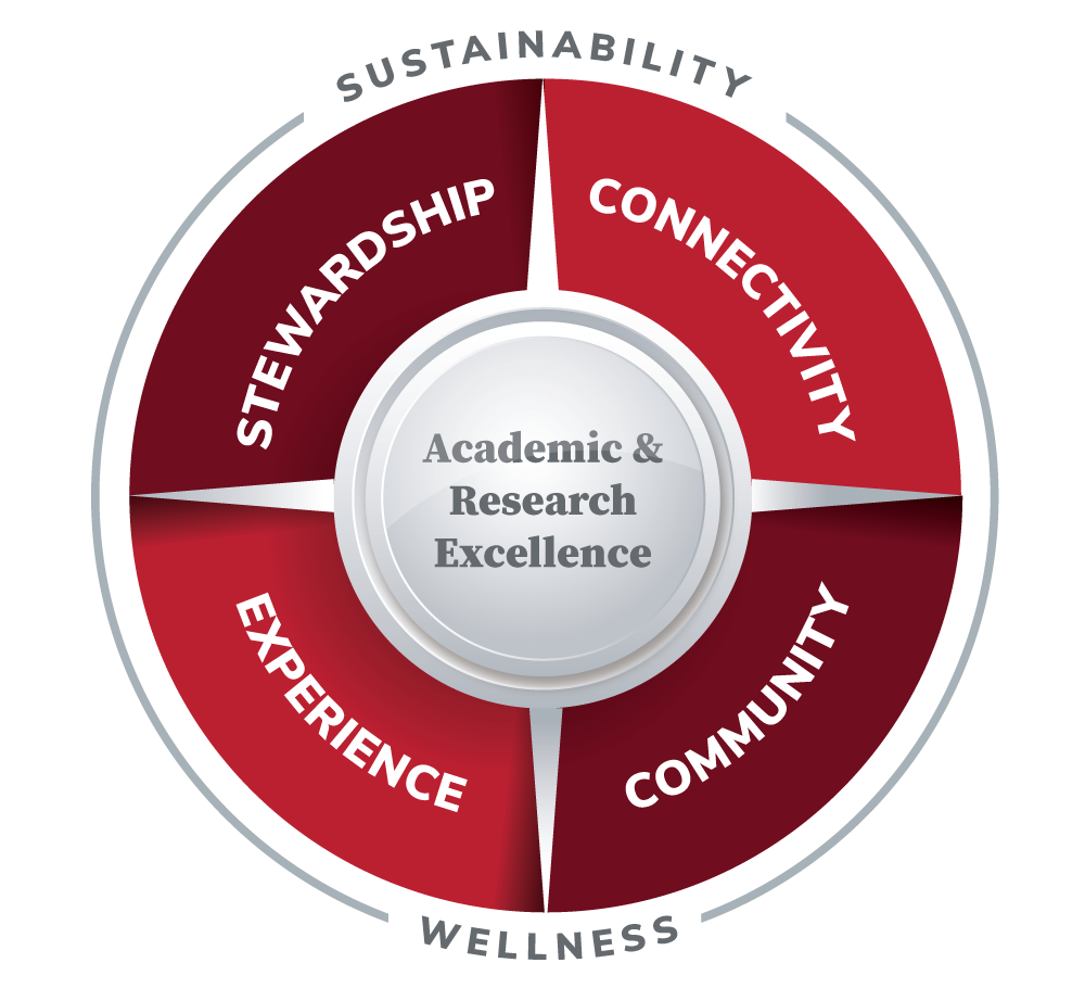 pie chart outlining the Framework 3.0 principles